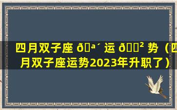 四月双子座 🪴 运 🌲 势（四月双子座运势2023年升职了）